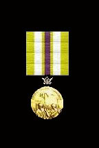 Ranger-citation-medal.jpg