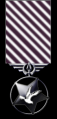 Medal-of-Honor.png