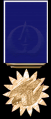Distinguished-Service-Medal.png